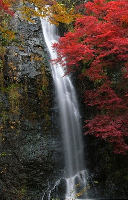 箕面の滝